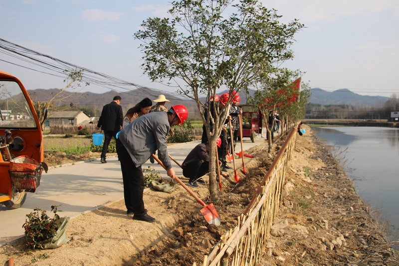 明雞高速3標(biāo)植樹照片 (4).jpg
