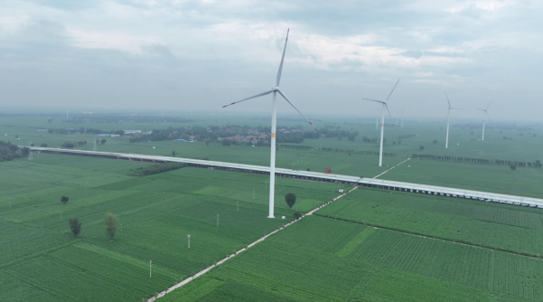 1725935753585.png 3dd1362e7bc06721e9f3568e64df2029.png