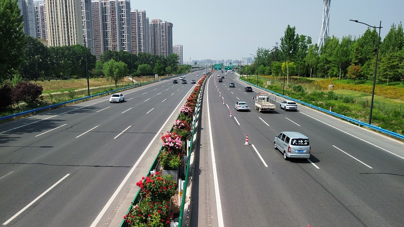 1745395714470.jpg 機(jī)場高速月季盛開 扮靚春日旅途.jpg